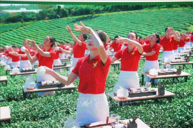 Tiết mục 1111 trà nương biểu diễn nghệ thuật trà đạo, 1 trong 4 kỷ lục Việt Nam thiết lập tại Lễ hội trà quốc tế. Ảnh: Chu Quốc Hùng - TTXVN
