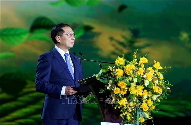 Phó Thủ tướng Chính phủ Bùi Thanh Sơn phát biểu chỉ đạo tại Lễ hội Trà quốc tế 2025. Ảnh: TTXVN phát