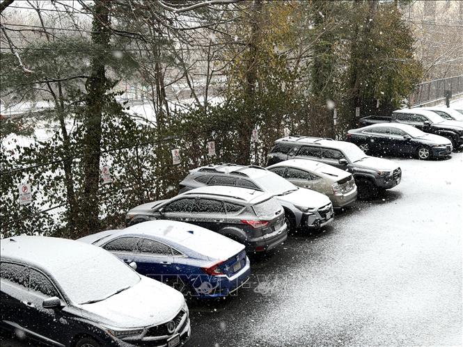 Tuyết phủ kín xe ô tô đỗ trong sân nhà. Ảnh: Ngọc Quang - PV TTXVN tại Mỹ