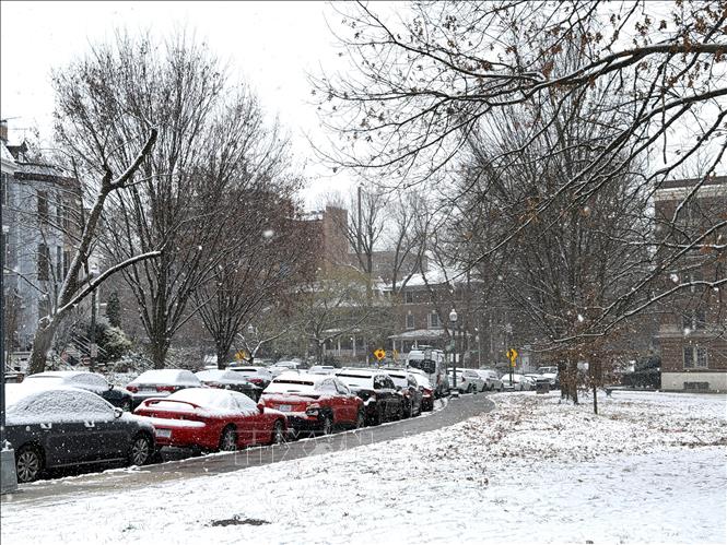 Tuyết phủ kín xe ô tô đỗ ven bãi cỏ cạnh công viên. Ảnh: Ngọc Quang - PV TTXVN tại Mỹ