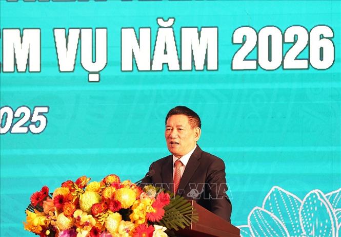 Phó Thủ tướng Hồ Đức Phớc phát biểu chỉ đạo tại hội nghị. Ảnh: Vũ Sinh - TTXVN

