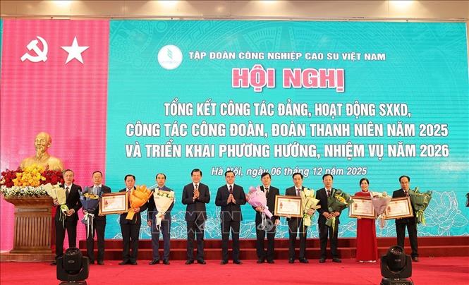Các tập thể và cá nhân nhận Huân chương Lao động hạng Nhất và hạng Nhì của Chủ tịch nước tặng. Ảnh: Vũ Sinh - TTXVN