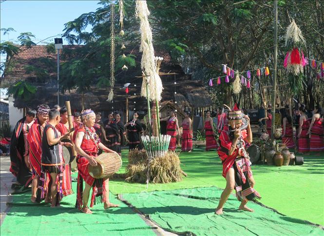 Các nghệ nhân Làng Du lịch cộng đồng Đăk Răng, xã Dục Nông, tỉnh Quảng Ngãi tái hiện Lễ mừng lúa mới của dân tộc Giẻ Triêng. Ảnh: Dư Toán - TTXVN