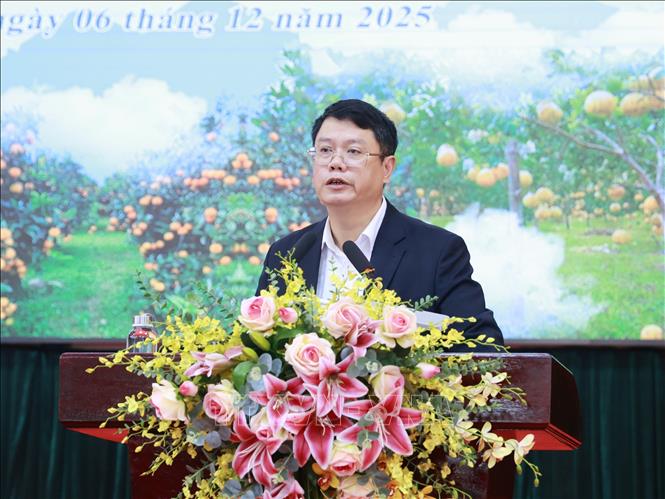 Phó Giám đốc Sở Văn hóa, Thể thao và Du lịch tỉnh Bắc Ninh Đỗ Tuấn Khoa phát biểu tại hội nghị. Ảnh: Đồng Thúy - TTXVN