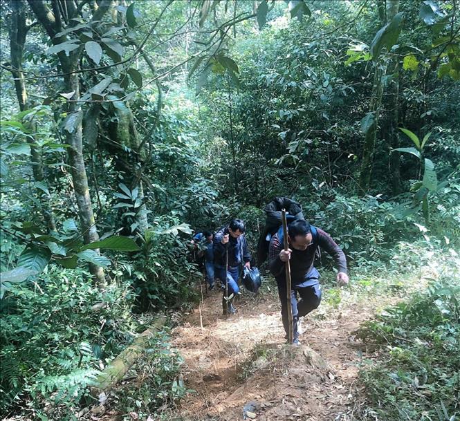 Forest trails with slopes exceeding 35 degrees offer an exciting and challenging experience for adventure seekers trekking to the summit of Pu Luong. Photo: Hoa Mai – VNA