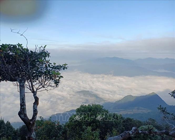 A “sea of clouds” as seen from the summit of Pu Luong. Photo: Hoa Mai – VNA