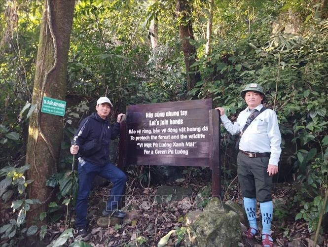 The “Conquer Pu Luong Peak” forest trekking route is the first pilot eco-tourism activity introduced by the Pu Luong Nature Reserve Management Board. Photo: Hoa Mai – VNA
