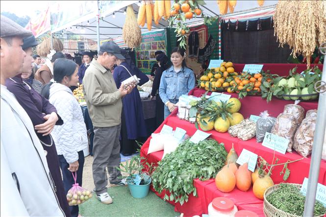 Thi trưng bày sản phẩm cam, quýt và phiên chợ nông sản với hơn 20 gian hàng của 20 thôn và doanh nghiệp. Ảnh: Vũ Hoàng Giang - TTXVN

