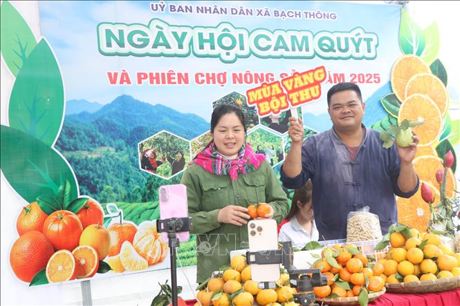 Tổ chức bán hàng livetream ngay tại ngày hội. Ảnh: Vũ Hoàng Giang - TTXVN
