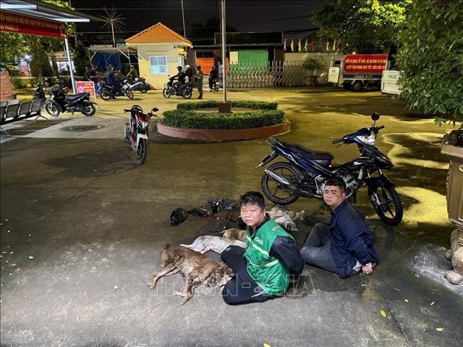 Hai đối tượng trộm chó, cùng tang vật bị bắt giữ tại xã Phước Lý, tỉnh Tây Ninh. Ảnh: TTXVN phát