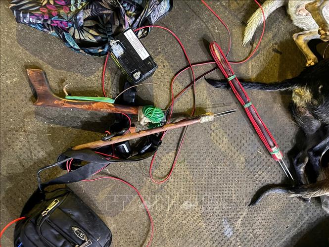 Súng điện tự chế của các đối tượng để bắn trộm chó. Ảnh: TTXVN phát