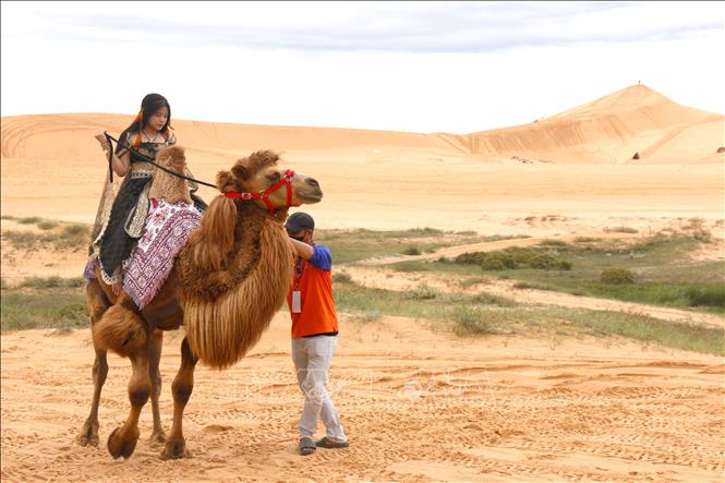Riding camels at Bau Trang Scenic Site, part of the Mui Ne National Tourist Area plan, is a popular activity among visitors. VNA Photo: Nguyễn Thanh
