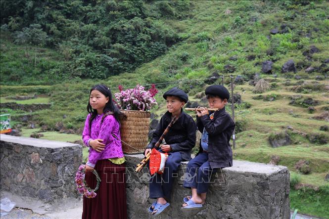 Mong children in Lung Cam village play the panpipe and carry flowers on their backs along the road, creating a simple beauty in the cultural space of the border region. VNA Photo: Minh Tâm