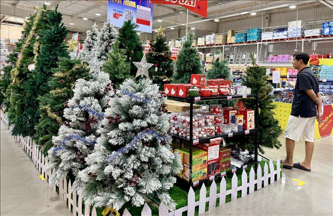 Cây thông Giáng sinh nhiều kích cỡ thu hút người dân mua sắm tại một trung tâm thương mại ở Long Xuyên. Ảnh: Thanh Sang – TTXVN