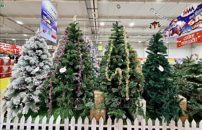 Cây thông Giáng sinh nhiều kích cỡ bày bán tại một trung tâm thương mại ở phường Long Xuyên. Ảnh: Thanh Sang – TTXVN