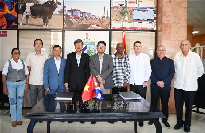 Đại sứ Lê Quang Long (thứ 4 từ trái sang), Thứ trưởng Telcel Abdel González (thứ 5 từ trái sang), cùng các đại diện của công ty Hoàng Gia Việt và quan chức Bộ Nông nghiệp Cuba chụp ảnh chung. Ảnh: Việt Hùng-PVTTXVN tại Cuba