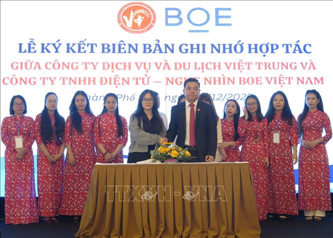 Ký kết biên bản ghi nhớ hợp tác giữa các đơn vị. Ảnh: Mai Trang - TTXVN                                                    