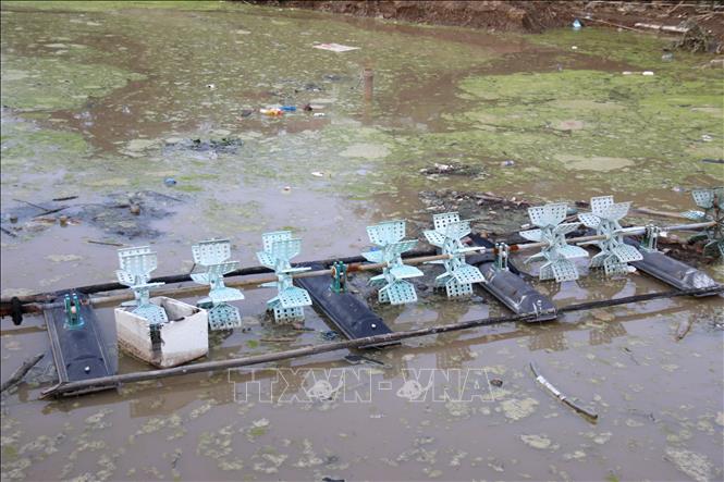 Những ao tôm vốn mang lại nguồn sống cho người dân vực xóm Nà ven sông Cái, thuộc khu phố Thắng Hòa, phường Hàm Thắng thì hiện nay hoang tàn như những “ao chết”. Ảnh: Nguyễn Thanh - TTXVN