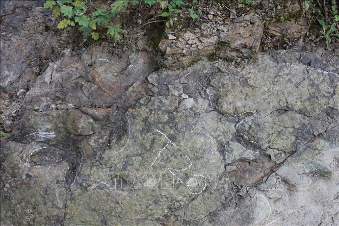 Dấu chân khủng long được phát hiện tại thành phố Đô Giang Yển, tỉnh Tứ Xuyên, Trung Quốc. Ảnh: THX/TTXVN