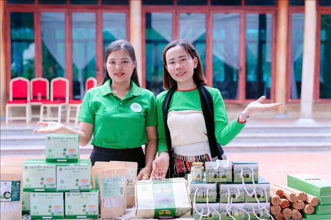 Muối mắc khén – sản phẩm OCOP của địa phương - đang bước vào vụ sản xuất nhộn nhịp nhất trong năm. Ảnh: Nguyễn Nam - TTXVN