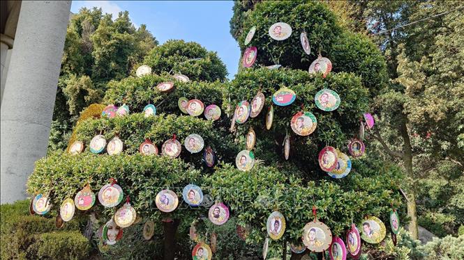 Cây thông Giáng sinh trang trí bằng ảnh của người mất tích ở vùng Ecatepec, ngoại ô Mexico City. Ảnh: Phi Hùng - PV TTXVN tại Mexico