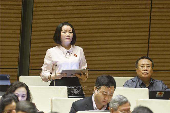 Đại biểu Quốc hội tỉnh Quảng Trị Nguyễn Minh Tâm phát biểu. Ảnh: Doãn Tấn - TTXVN