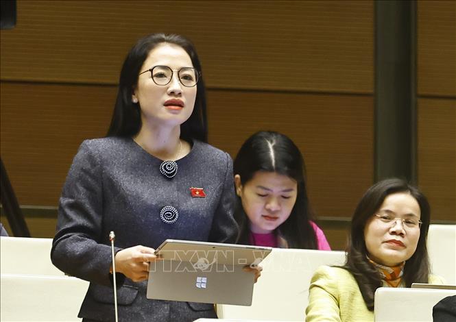 Đại biểu Quốc hội tỉnh Hưng Yên Trần Khánh Thu phát biểu. Ảnh: Doãn Tấn - TTXVN