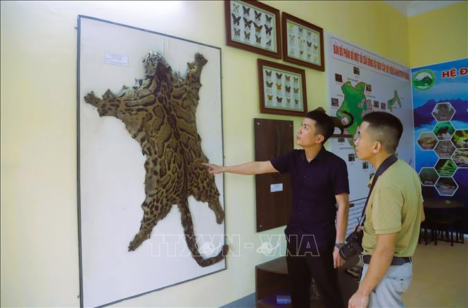 The reserve’s museum form an essential part of modern scientific and educational infrastructure. VNA Photo: Xuân Tiến