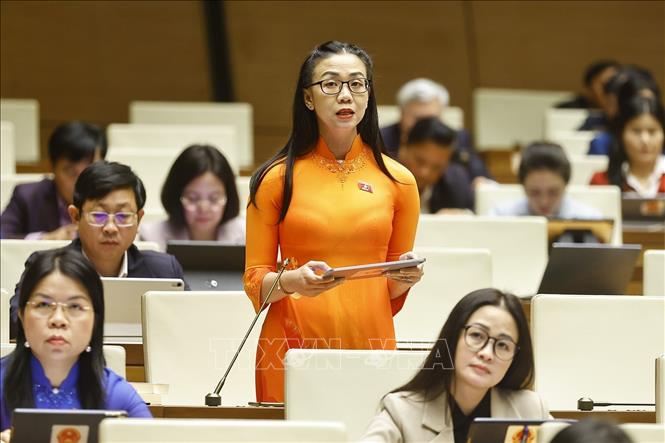 Đại biểu Quốc hội tỉnh Lâm Đồng Trịnh Thị Tú Anh phát biểu. Ảnh: Doãn Tấn - TTXVN