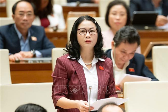 Đại biểu Quốc hội TP Hà Nội Nguyễn Thị Lan phát biểu. Ảnh: Doãn Tấn - TTXVN