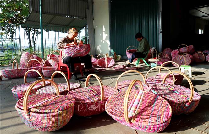 Hợp tác xã Mây tre đan Thanh Tân (xã Bình Nguyên, tỉnh Hưng Yên) của chị Nguyễn Thị Doan thu hút hàng trăm lao động trong và ngoài xã tham gia sản xuất. Ảnh: Thế Duyệt – TTXVN