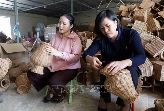 Hội Liên hiệp Phụ nữ tỉnh Hưng Yên đã hỗ trợ thành lập 14 hợp tác xã, 82 tổ hợp tác do phụ nữ quản lý; hỗ trợ trên 1.800 phụ nữ khởi sự kinh doanh và khởi nghiệp thành công. Ảnh: Thế Duyệt – TTXVN 