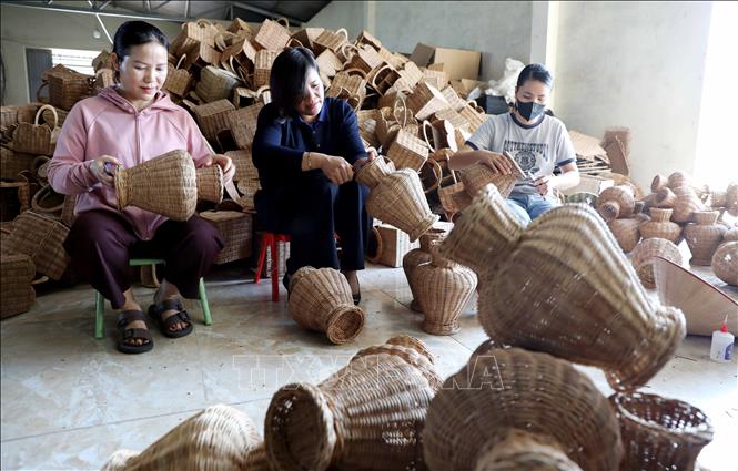 Hội Liên hiệp Phụ nữ tỉnh Hưng Yên đã hỗ trợ thành lập 14 hợp tác xã, 82 tổ hợp tác do phụ nữ quản lý; hỗ trợ trên 1.800 phụ nữ khởi sự kinh doanh và khởi nghiệp thành công. Ảnh: Thế Duyệt – TTXVN 