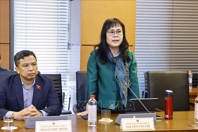 Đại biểu Quốc hội tỉnh Nghệ An Nguyễn Vân Chi phát biểu. Ảnh: Doãn Tấn - TTXVN