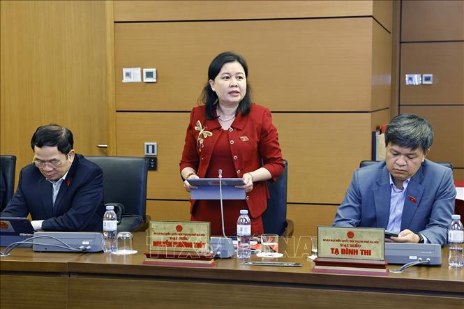 Đại biểu Quốc hội TP Hà Nội Nguyễn Phương Thuỷ phát biểu. Ảnh: Doãn Tấn - TTXVN