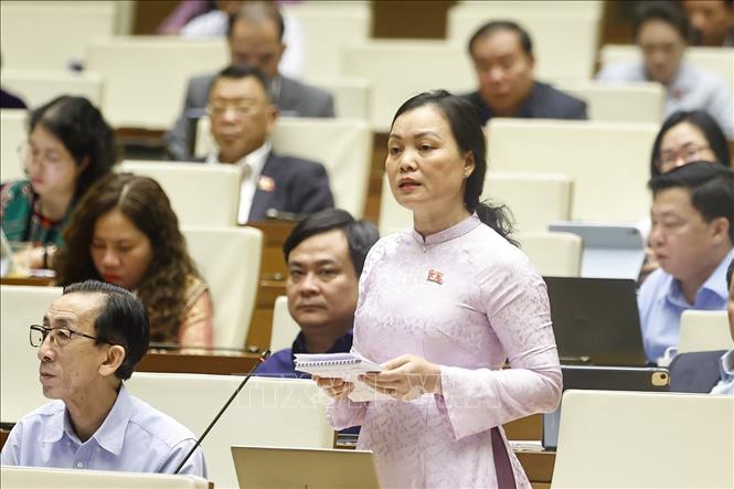 Đại biểu Quốc hội TP Hồ Chí Minh Huỳnh Thị Phúc phát biểu. Ảnh: Doãn Tấn - TTXVN