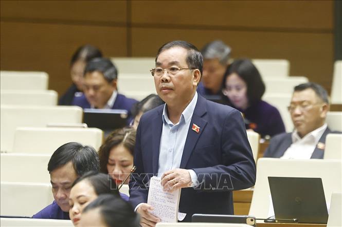 Đại biểu Quốc hội TP Hồ Chí Minh Nguyễn Quang Huân phát biểu. Ảnh: Doãn Tấn - TTXVN