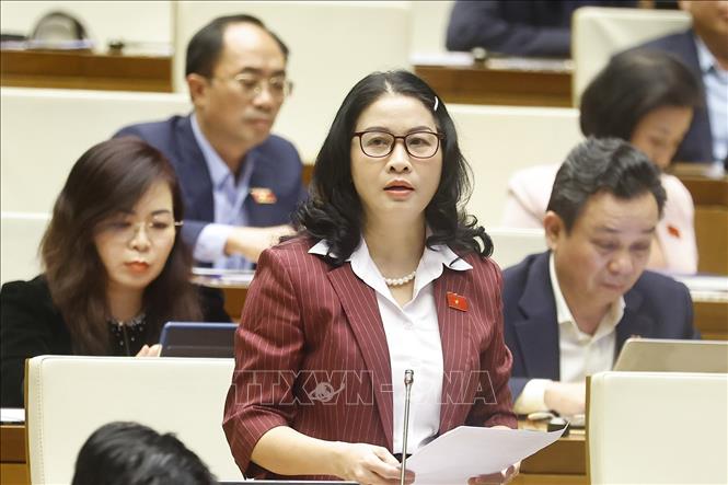 Đại biểu Quốc hội TP Hà Nội Nguyễn Thị Lan phát biểu. Ảnh: Doãn Tấn - TTXVN