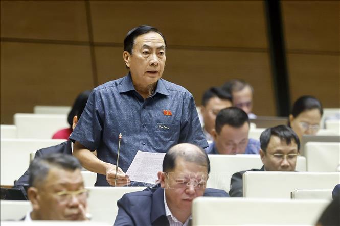 Đại biểu Quốc hội tỉnh Đồng Tháp Phạm Văn Hòa phát biểu. Ảnh: Doãn Tấn - TTXVN