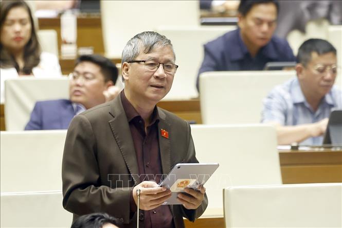 Đại biểu Quốc hội TP Hà Nội Nguyễn Anh Trí phát biểu. Ảnh: Doãn Tấn - TTXVN