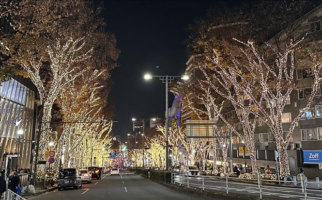 Phố Omotesando bừng sáng với lễ hội Giáng Sinh 2025. Ảnh: Nguyễn Tuyến – PV TTXVN tại Nhật Bản