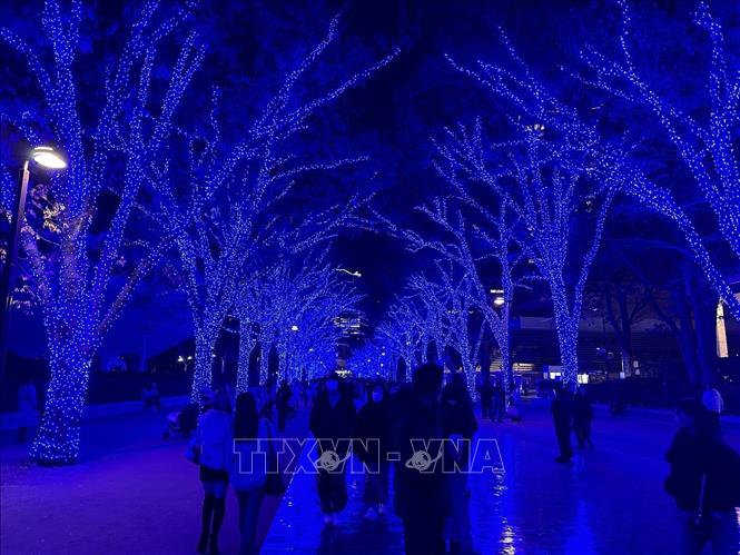 Hang động Xanh, con đường nổi tiếng tại công viên Yoyogi mỗi khi mùa Giáng Sinh đến. Ảnh: Nguyễn Tuyến – PV TTXVN tại Nhật Bản