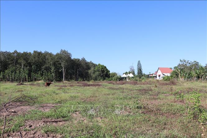 Diện tích mặt bằng sạch được người dân Khu phố Tân Thành 7 bàn giao dự án cao tốc. Ảnh: K GỬIH-TTXVN 