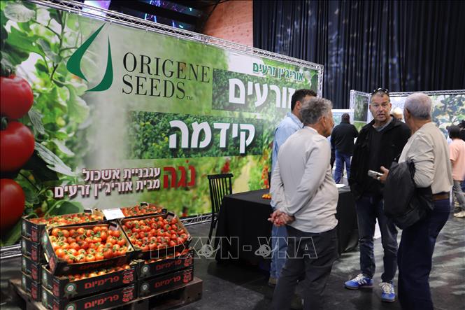 Khách tham quan tìm hiểu về công nghệ và giải pháp canh tác tại triển lãm. Ảnh: Thanh Bình - PV TTXVN tại Israel

