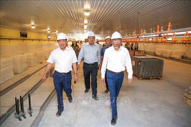 Các hạng mục trong Khu Chăn nuôi ứng dụng Công nghệ cao DHN Tây Ninh 5 đang được hoàn thiện theo tiêu chuẩn quốc tế. Ảnh: Giang Phương – TTXVN