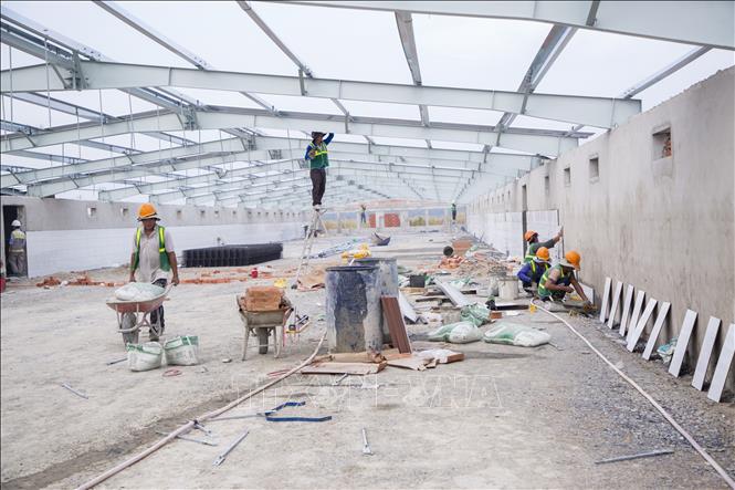 Liên danh Tập đoàn Hùng Nhơn (Việt Nam) và De Heus (Hà Lan) đầu tư mạnh vào DHN Tây Ninh 5, kỳ vọng tạo đột phá trong chăn nuôi hiện đại. Ảnh: Giang Phương – TTXVN