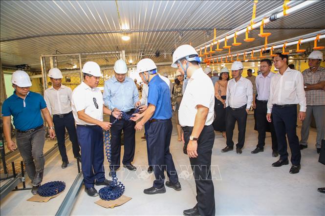 Các hạng mục trong Khu Chăn nuôi ứng dụng Công nghệ cao DHN Tây Ninh 5 đang được hoàn thiện theo tiêu chuẩn quốc tế. Ảnh: Giang Phương – TTXVN