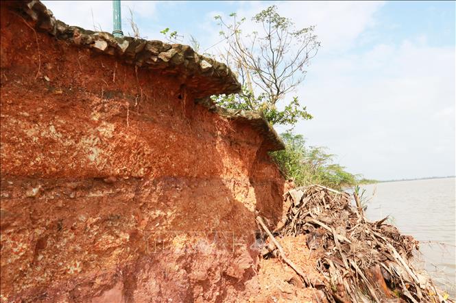 Bờ kè bị sụt lún tạo thành các hàm ếch sâu ăn vào vỉa hè đường Trần Thánh Tông. Ảnh: Tường Vi - TTXVN