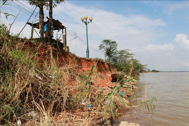 Hệ thống cây xanh, cột điện chiếu sáng dọc tuyến đường Trần Thánh Tông có nguy cơ đổ sập bất cứ lúc nào. Ảnh: Tường Vi - TTXVN