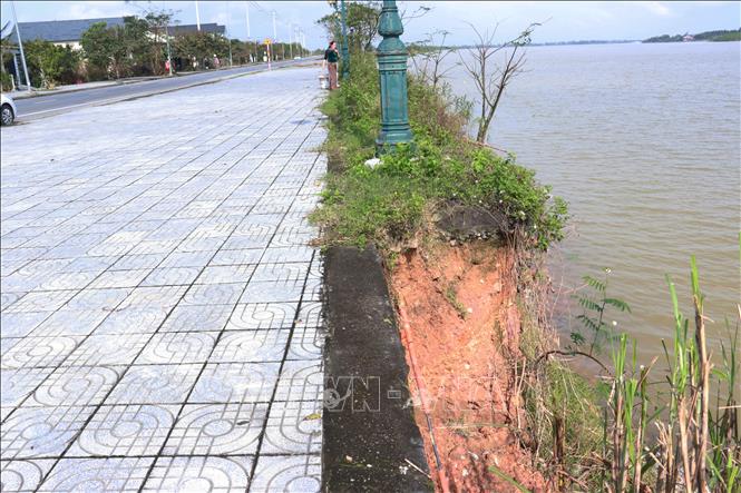 Hệ thống cây xanh, cột điện chiếu sáng dọc đường Trần Thánh Tông có nguy cơ đổ sập bất cứ lúc nào. Ảnh: Tường Vi - TTXVN